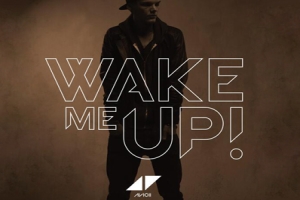 Avicii - Wake Me Up ásamt Aloe Blacc