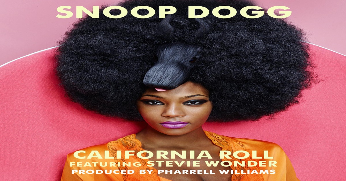 Snoop Dogg – California Roll ásamt Stevie Wonder | Ný Tónlist - Fyrstir með ...